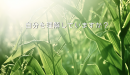 自分を理解していますか？